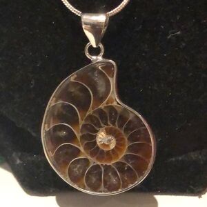 Ammonite Necklace